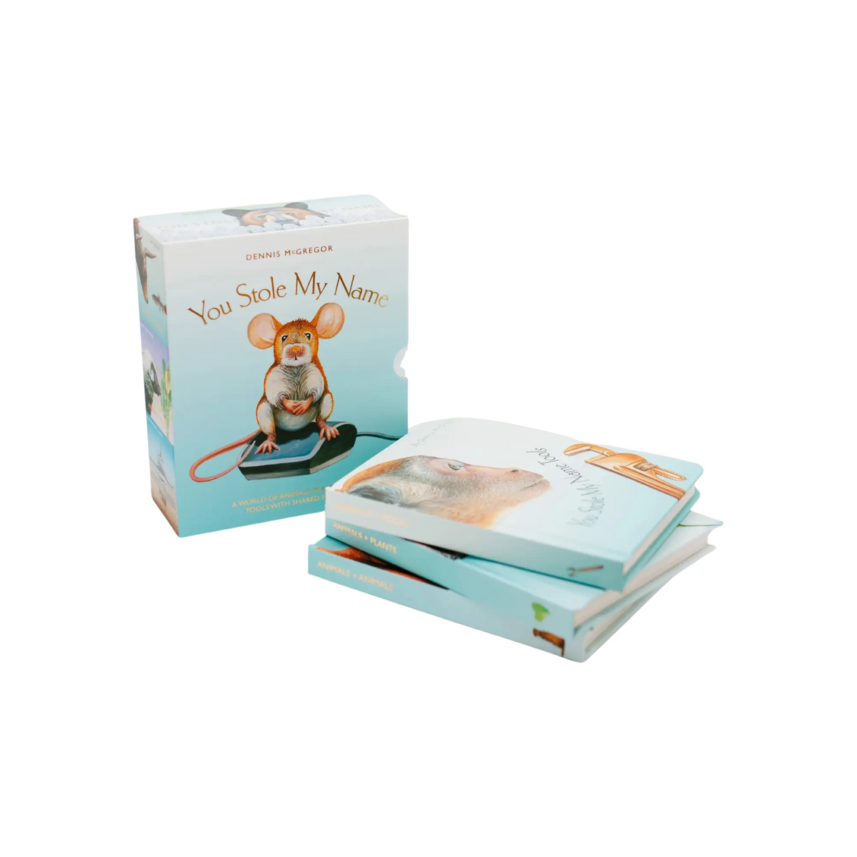 You Stole My Name Book Box Set