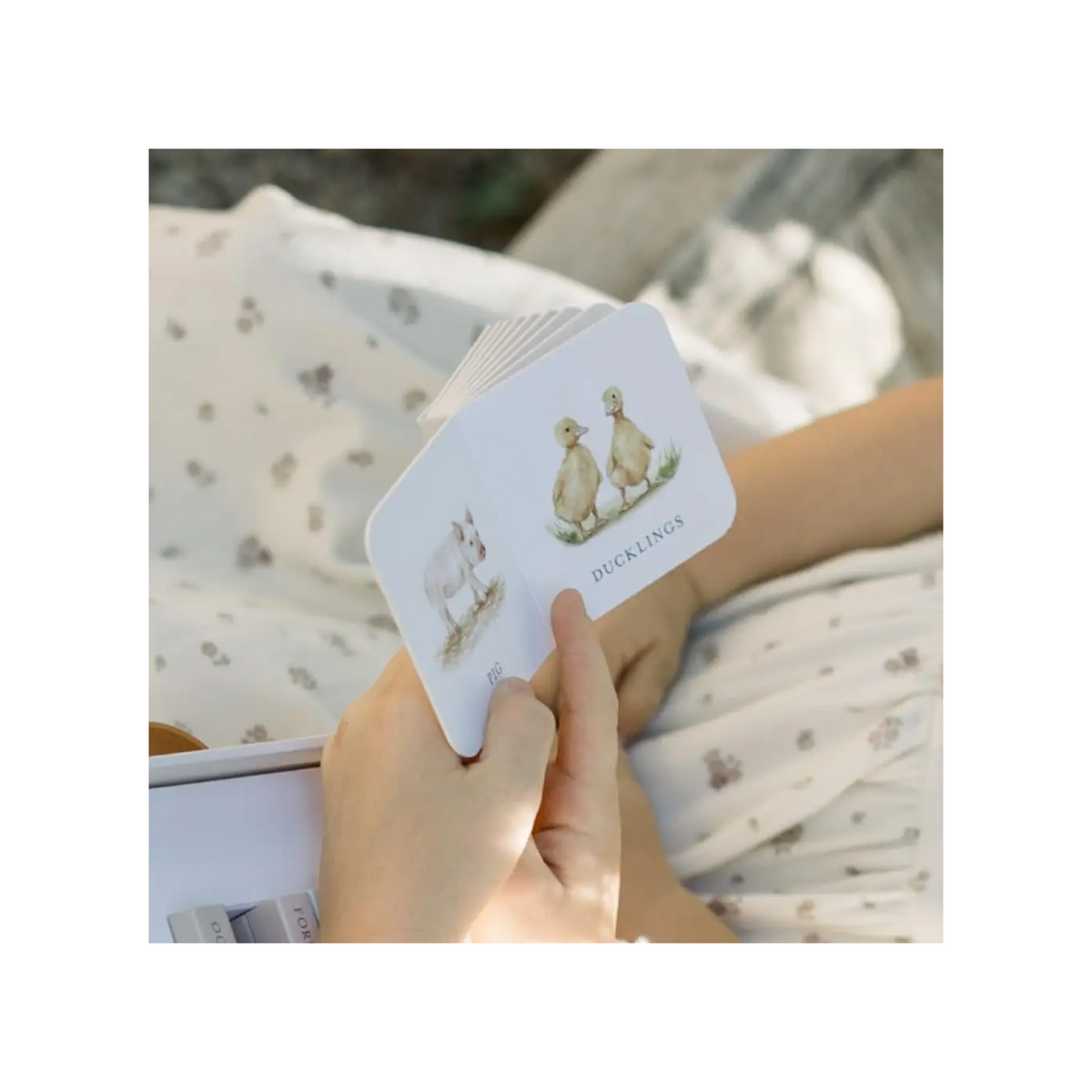 Our Very Little Library Book Set