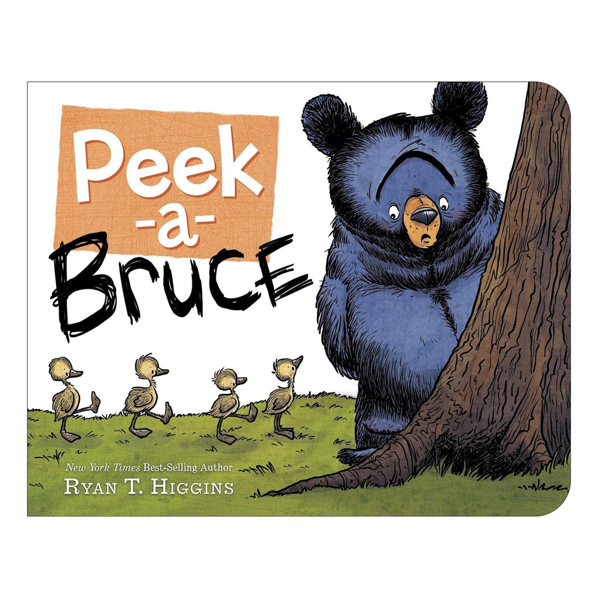 Peek-A-Bruce Board Book