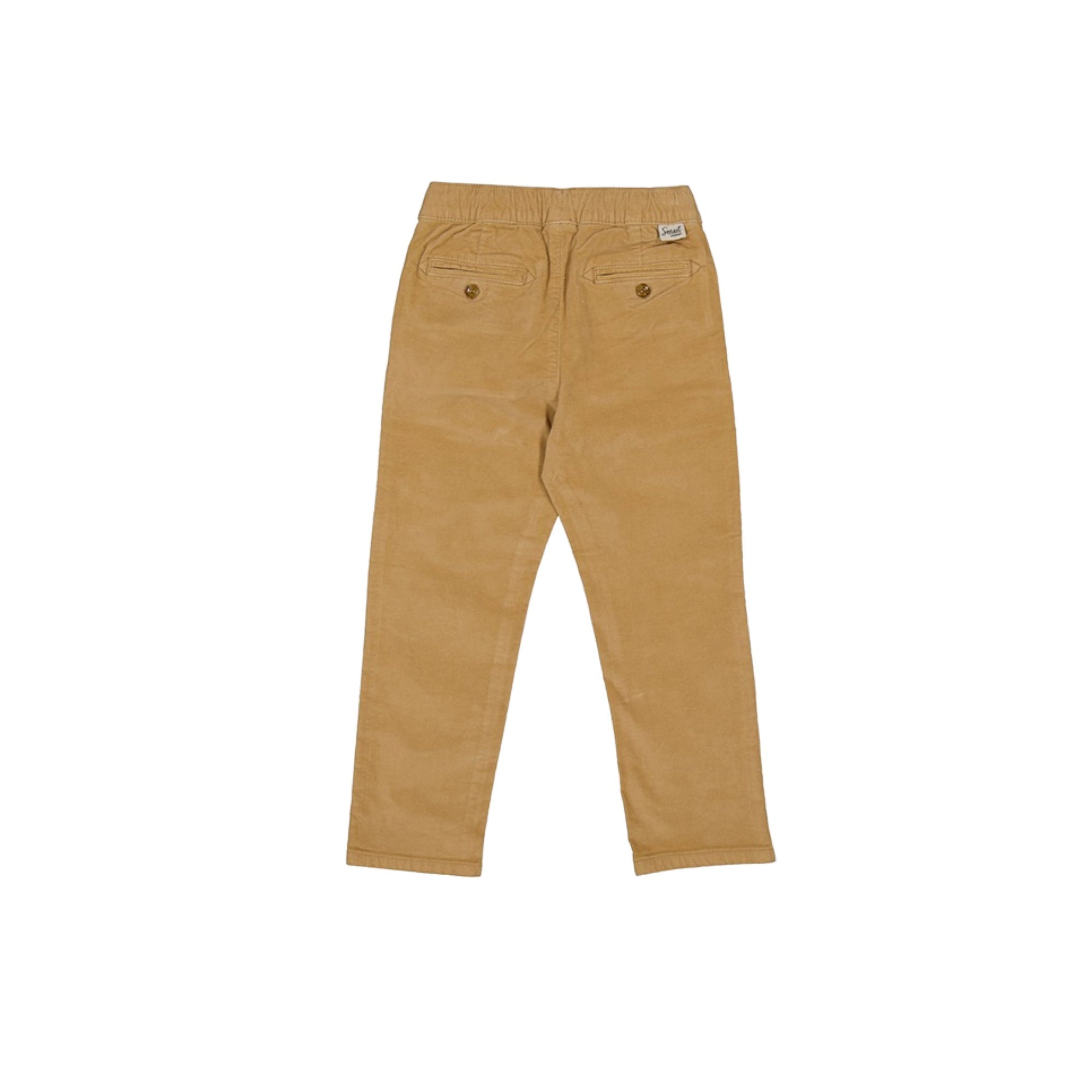 Toffee Cotton Blend Boys Pant