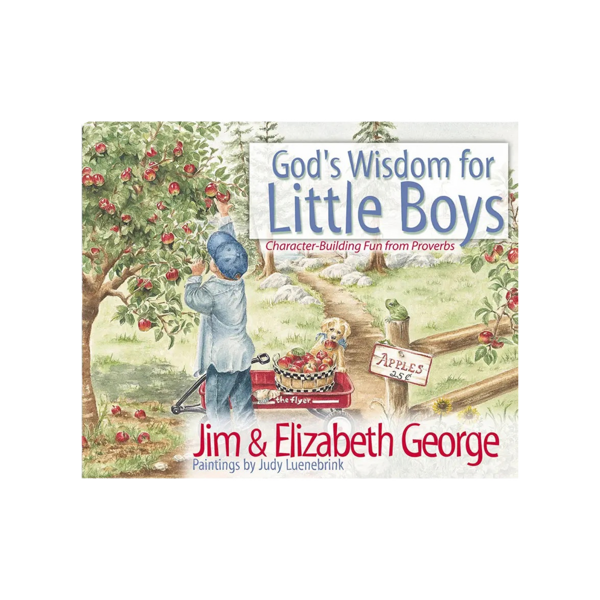 God's Wisdom For Little Boys