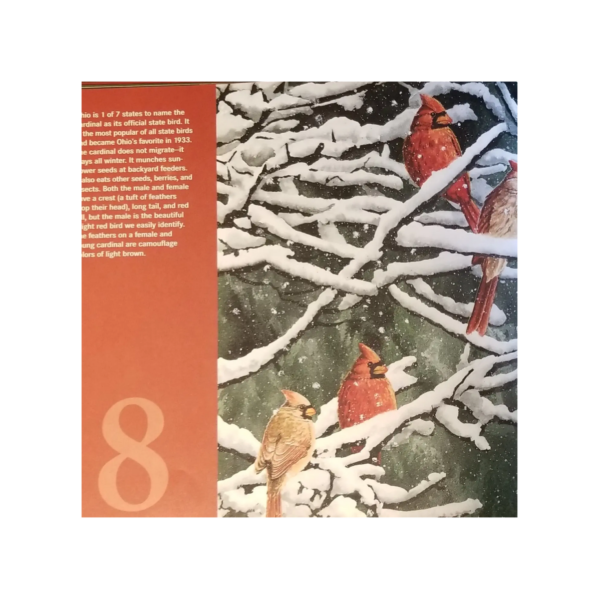 Cardinal Numbers: An Ohio Number Book