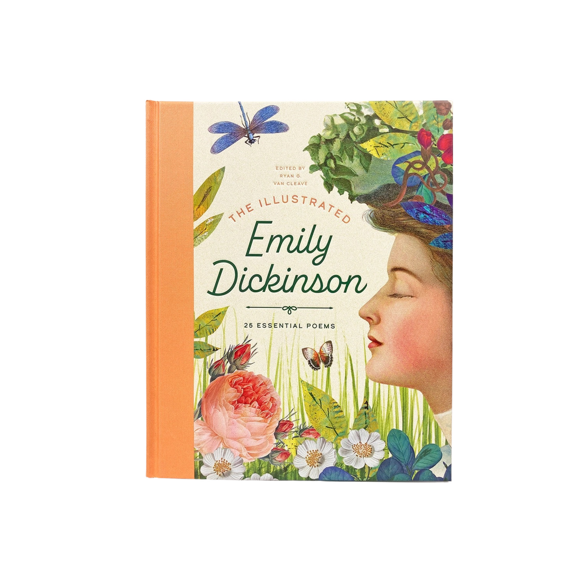 The Illustrated Emily Dickinson