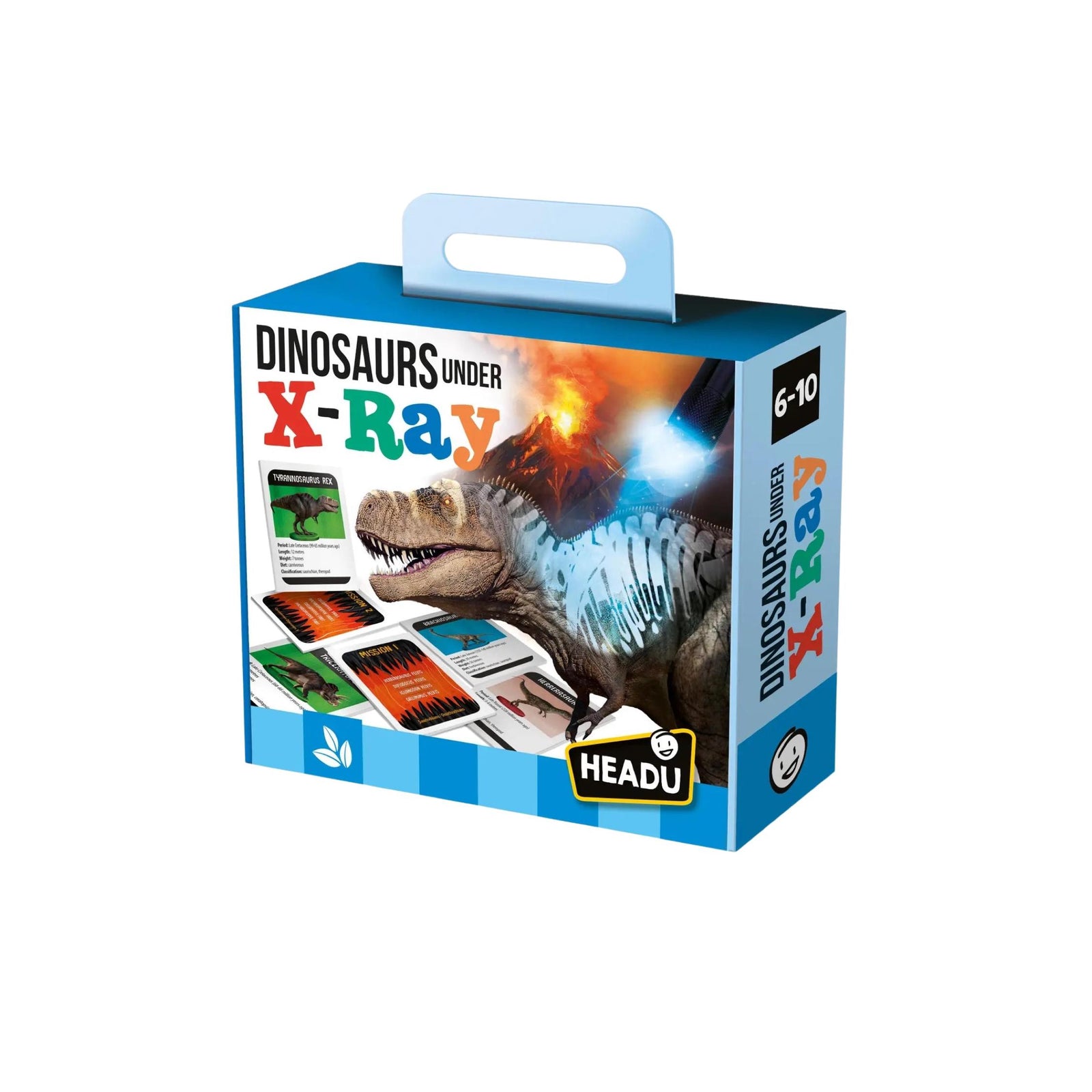 Dinosaurs Under X-Ray Educational Game