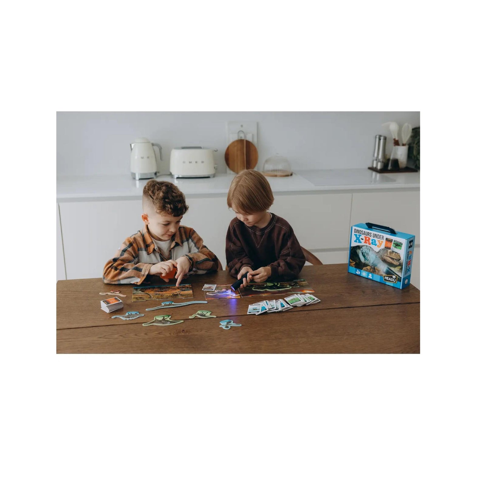 Dinosaurs Under X-Ray Educational Game