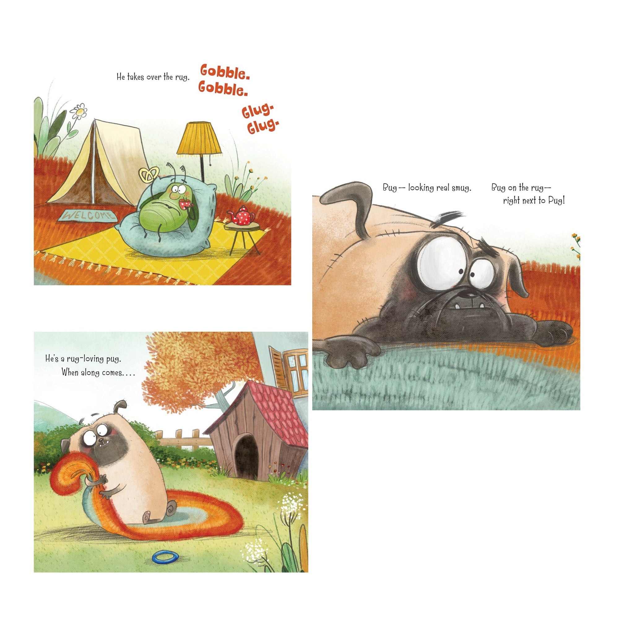 Bug On the Rug Picture Book