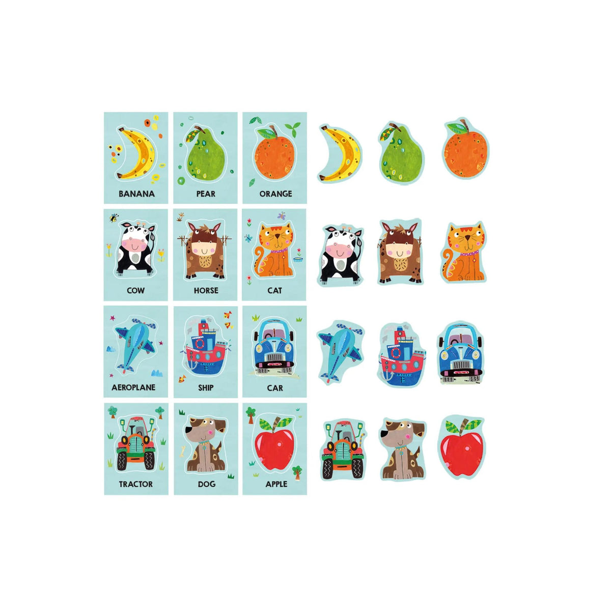 Baby Educational Montessori Flash Cards