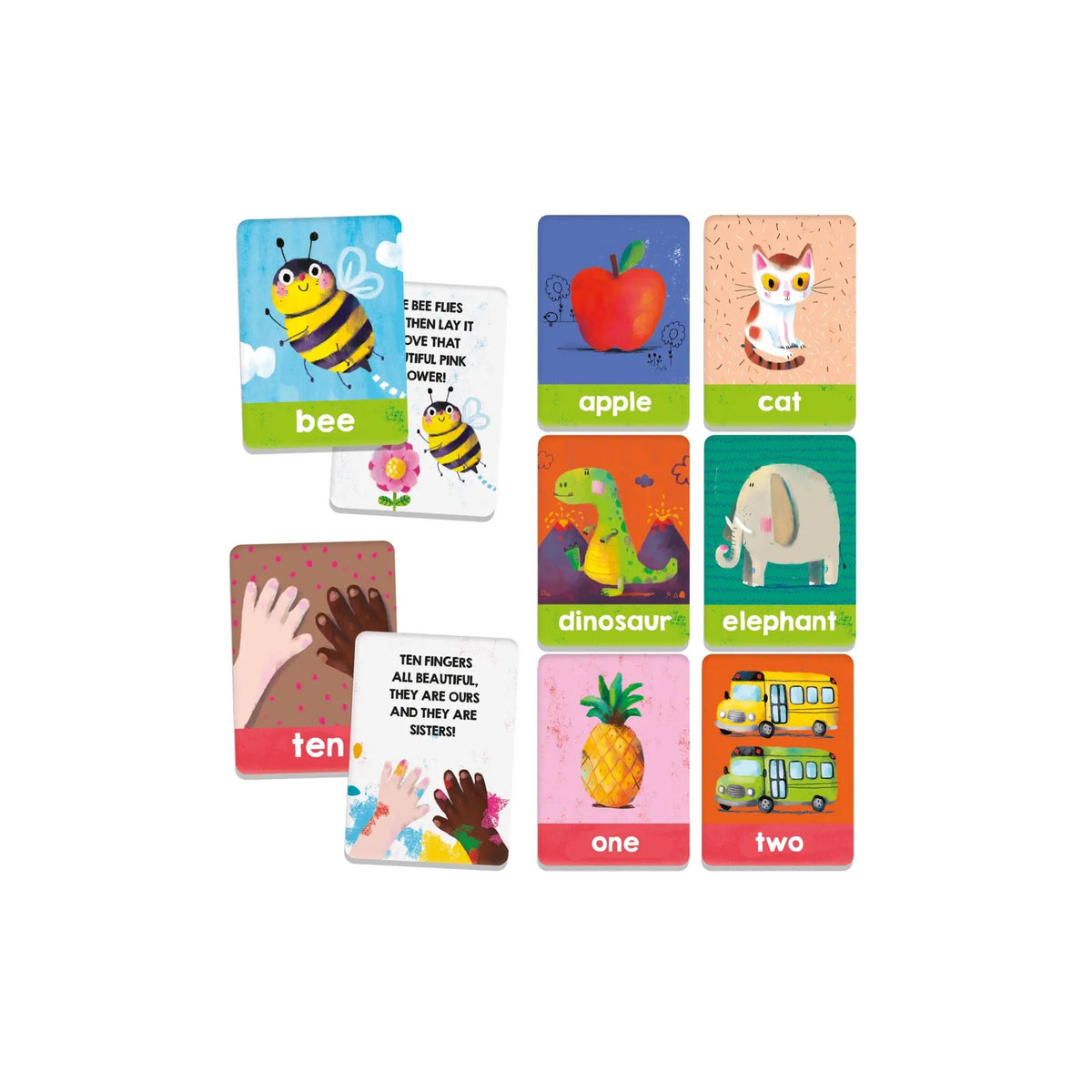 Discover Montessori Educational Flash Cards