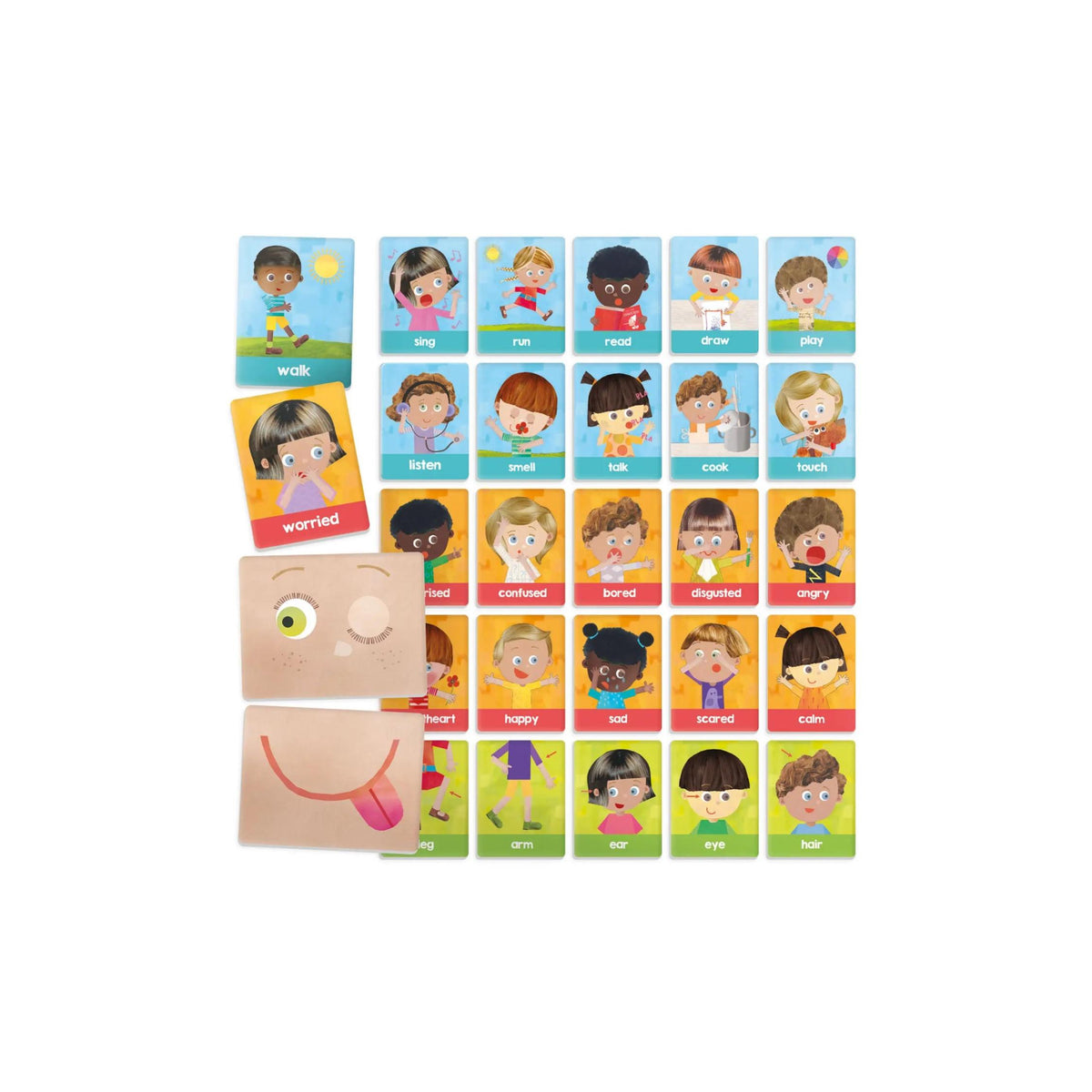 Emotions and Actions Montessori Educational Flash Cards