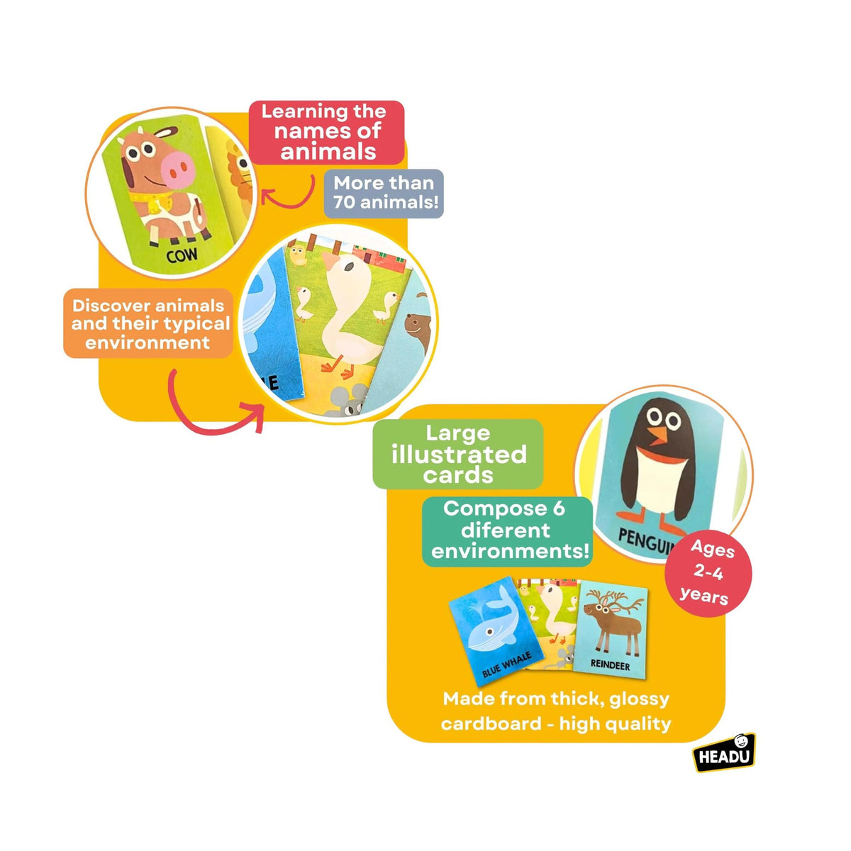 First Animal Encyclopedia Montessori Flash Cards