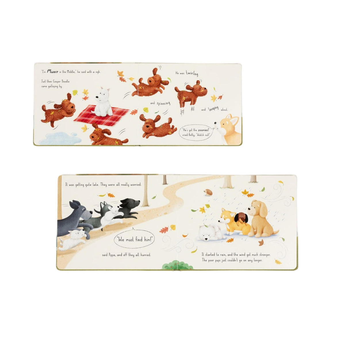 Munro in the Middle Book