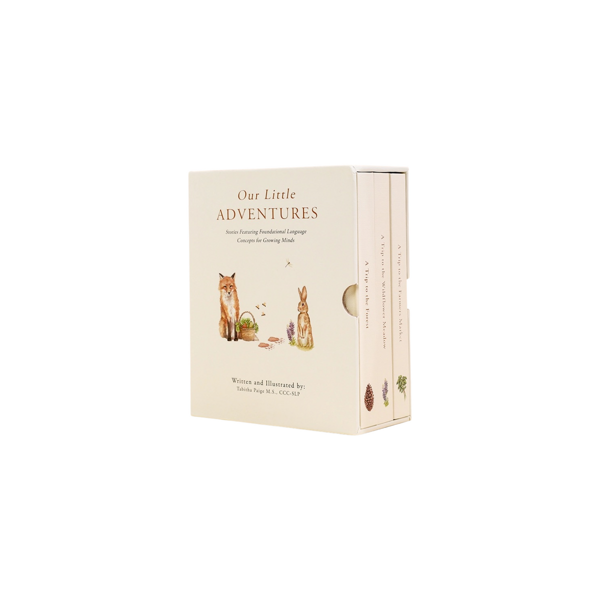 Our Little Adventures Board Book Set