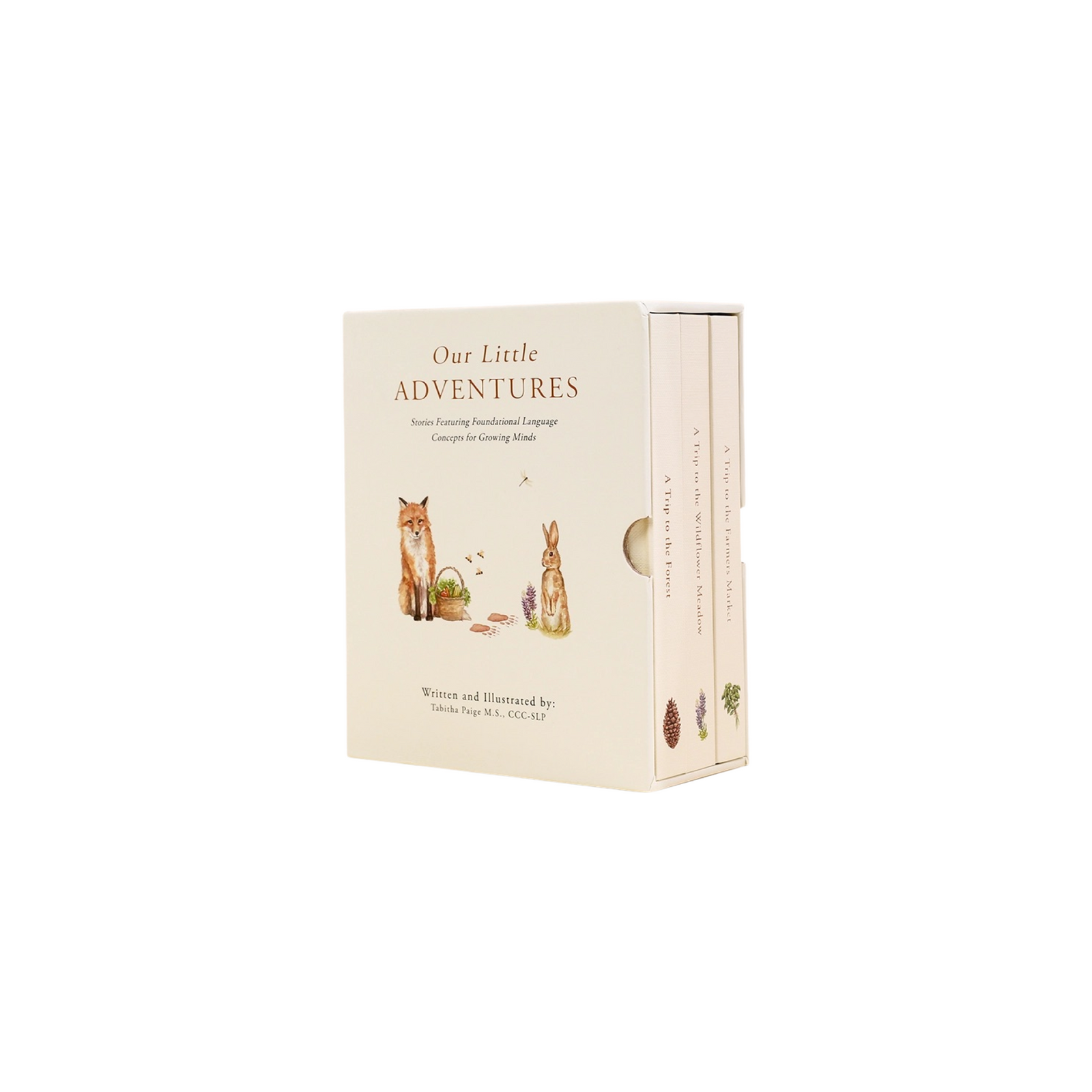 Our Little Adventures Board Book Set