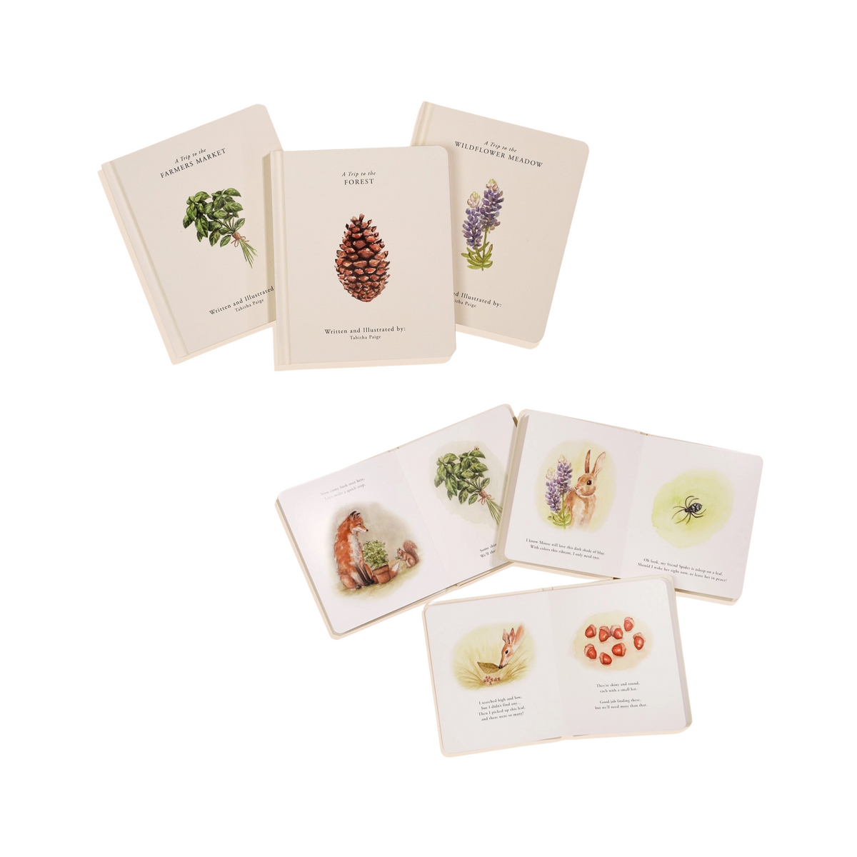 Our Little Adventures Board Book Set