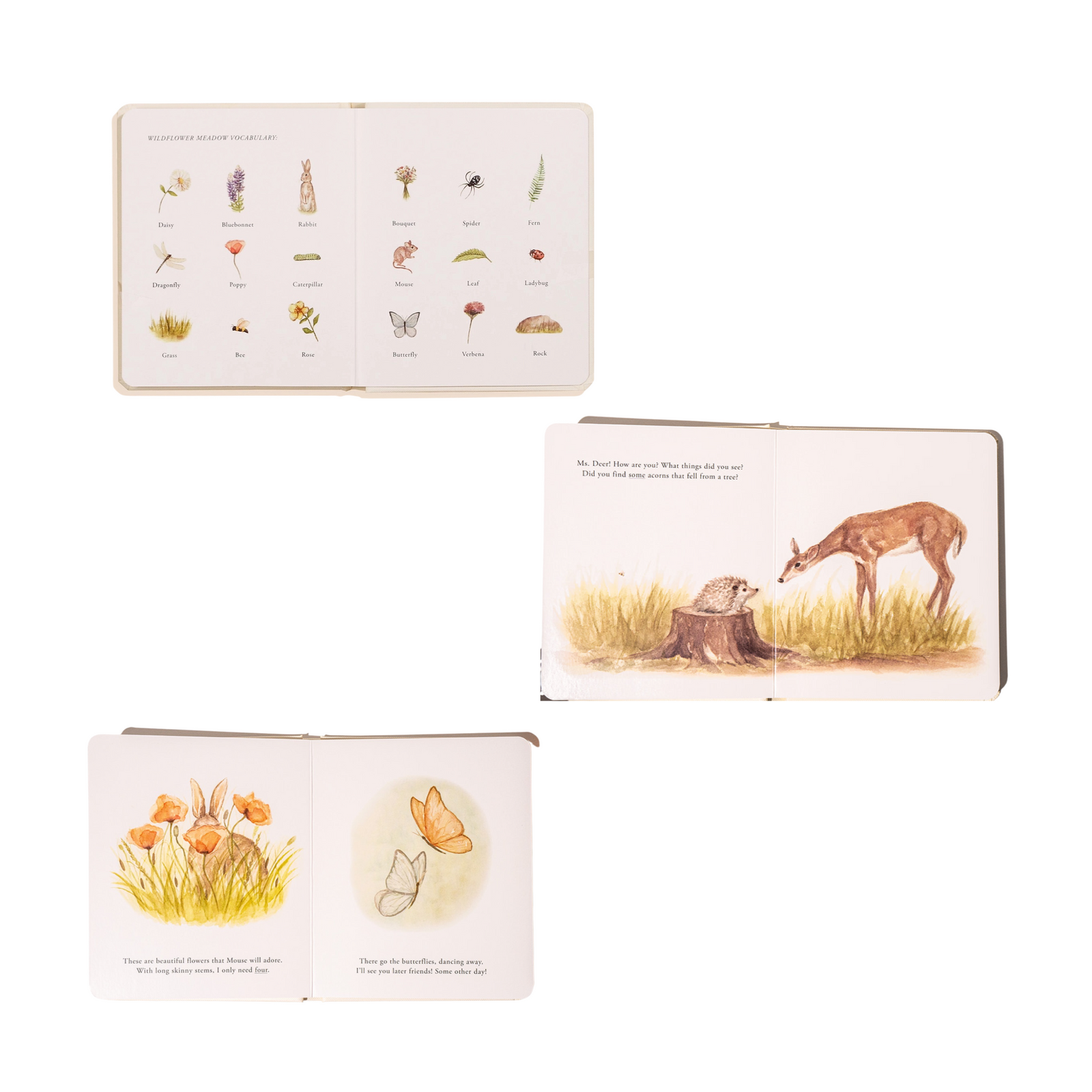 Our Little Adventures Board Book Set