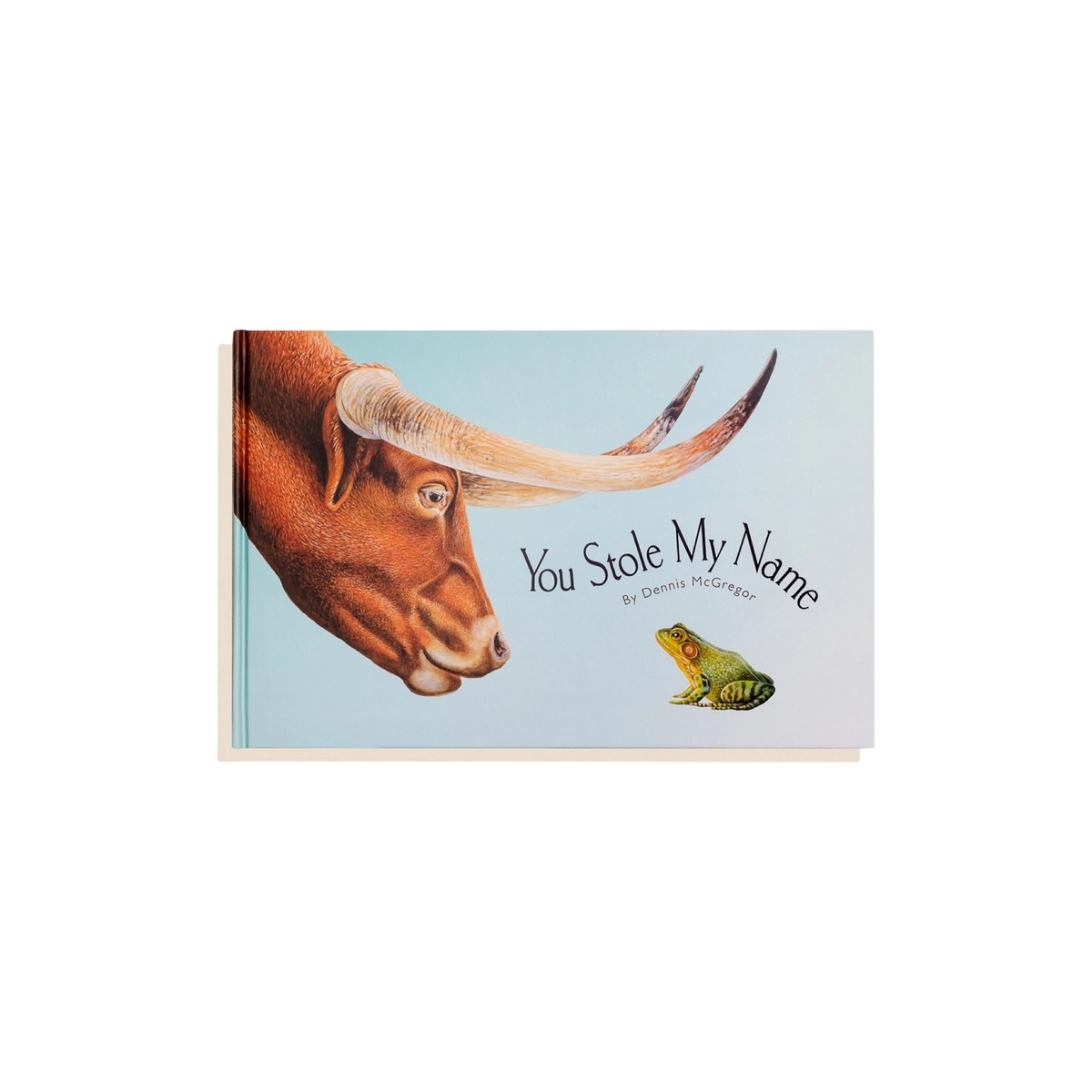 You Stole My Name: Picture Book For Kids