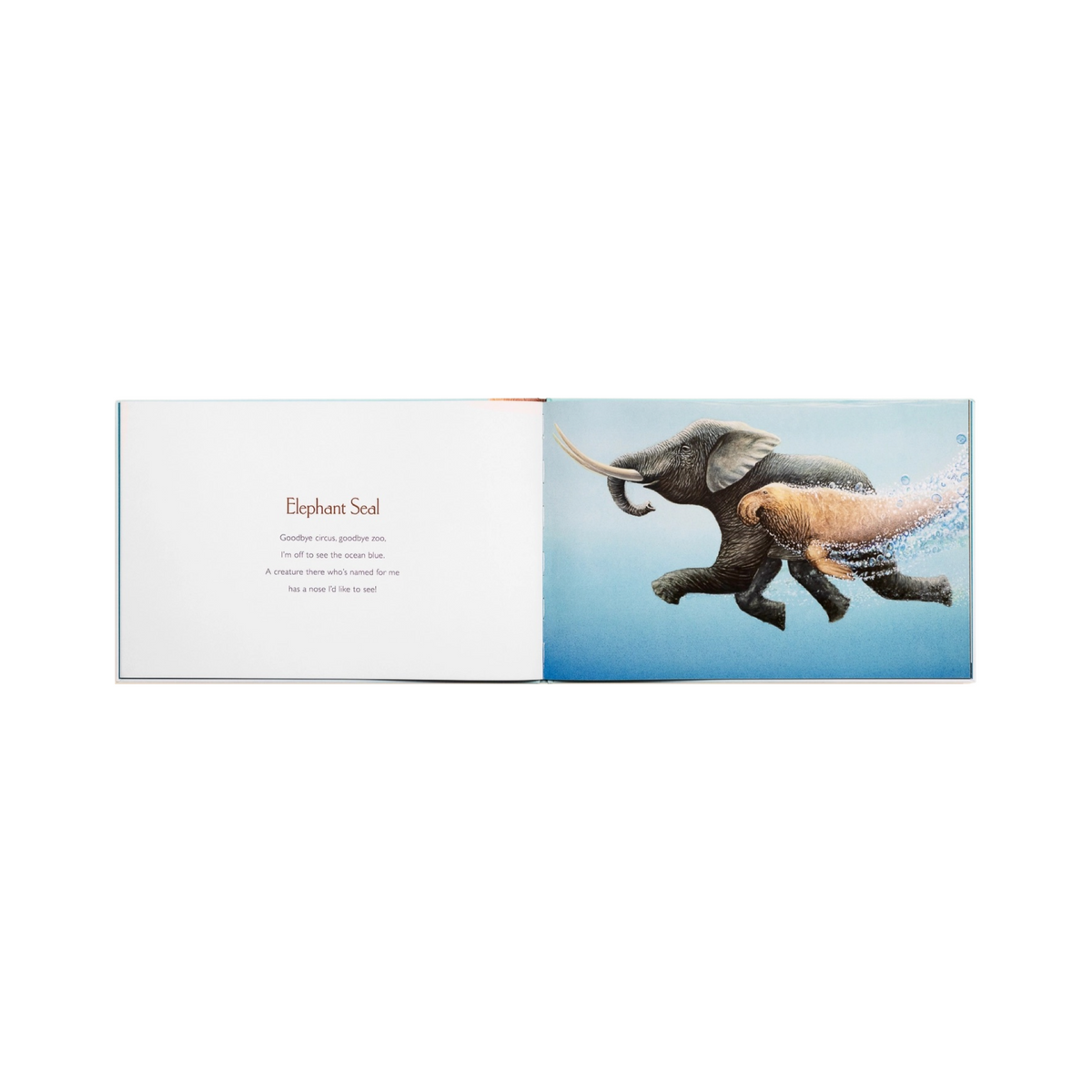 You Stole My Name: Picture Book For Kids