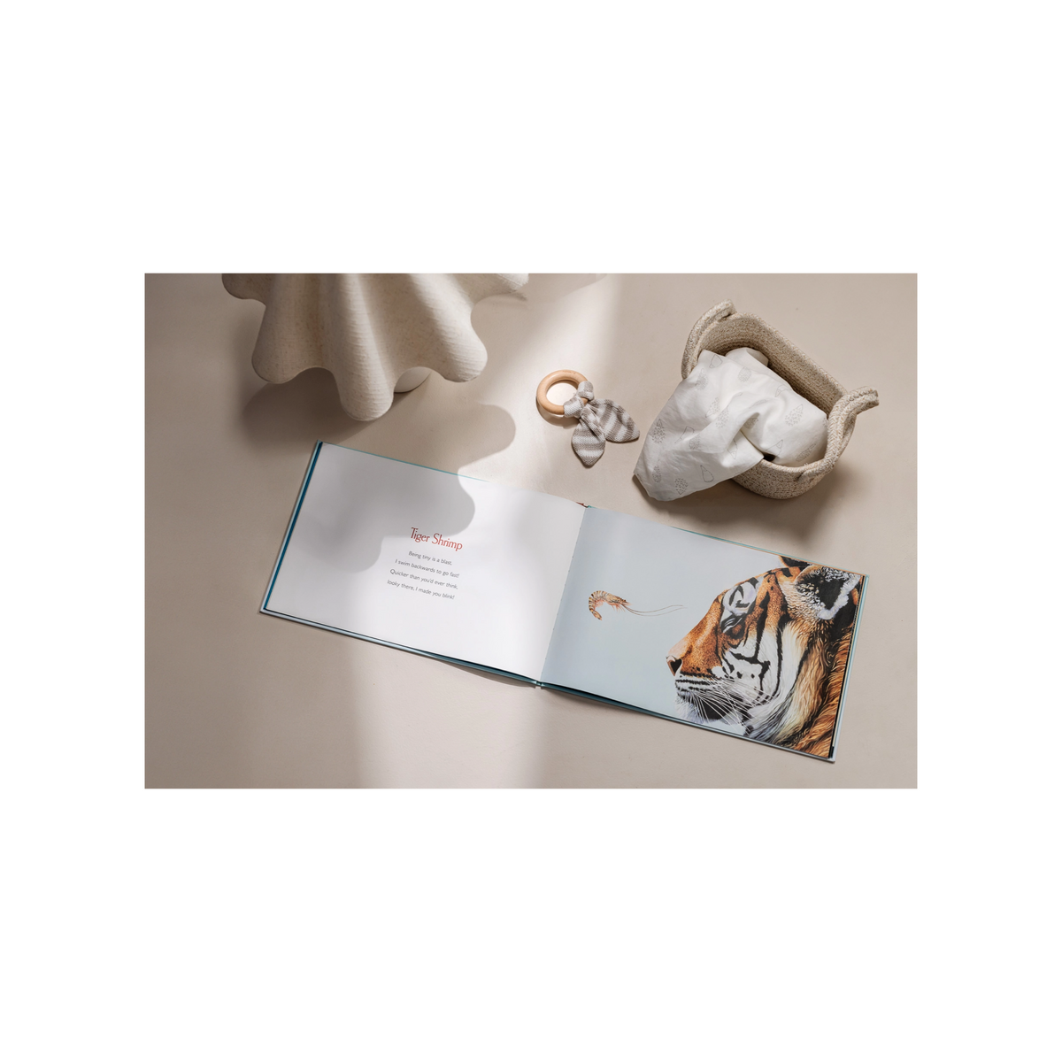 You Stole My Name: Picture Book For Kids
