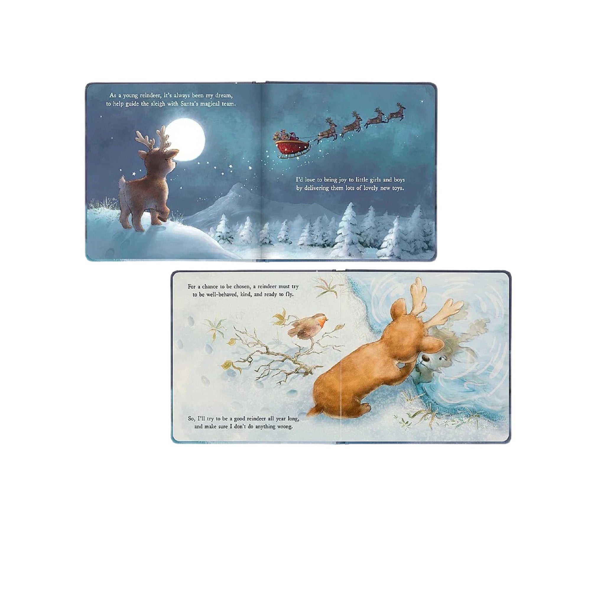 Mitzi Reindeer’s Dream Hardback Book