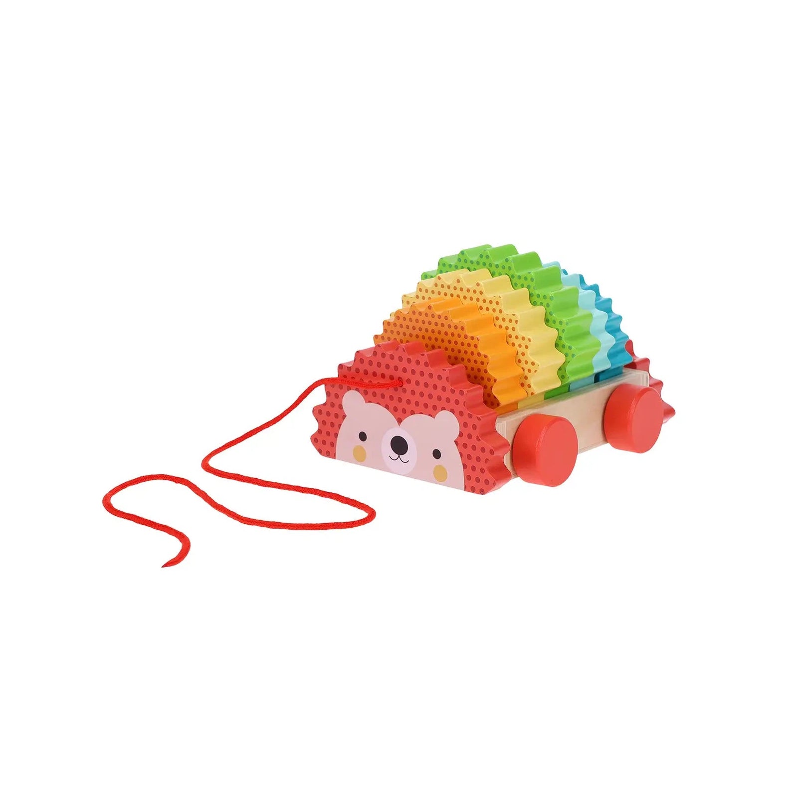 Rainbow Hedgehog Wooden Pull Toy