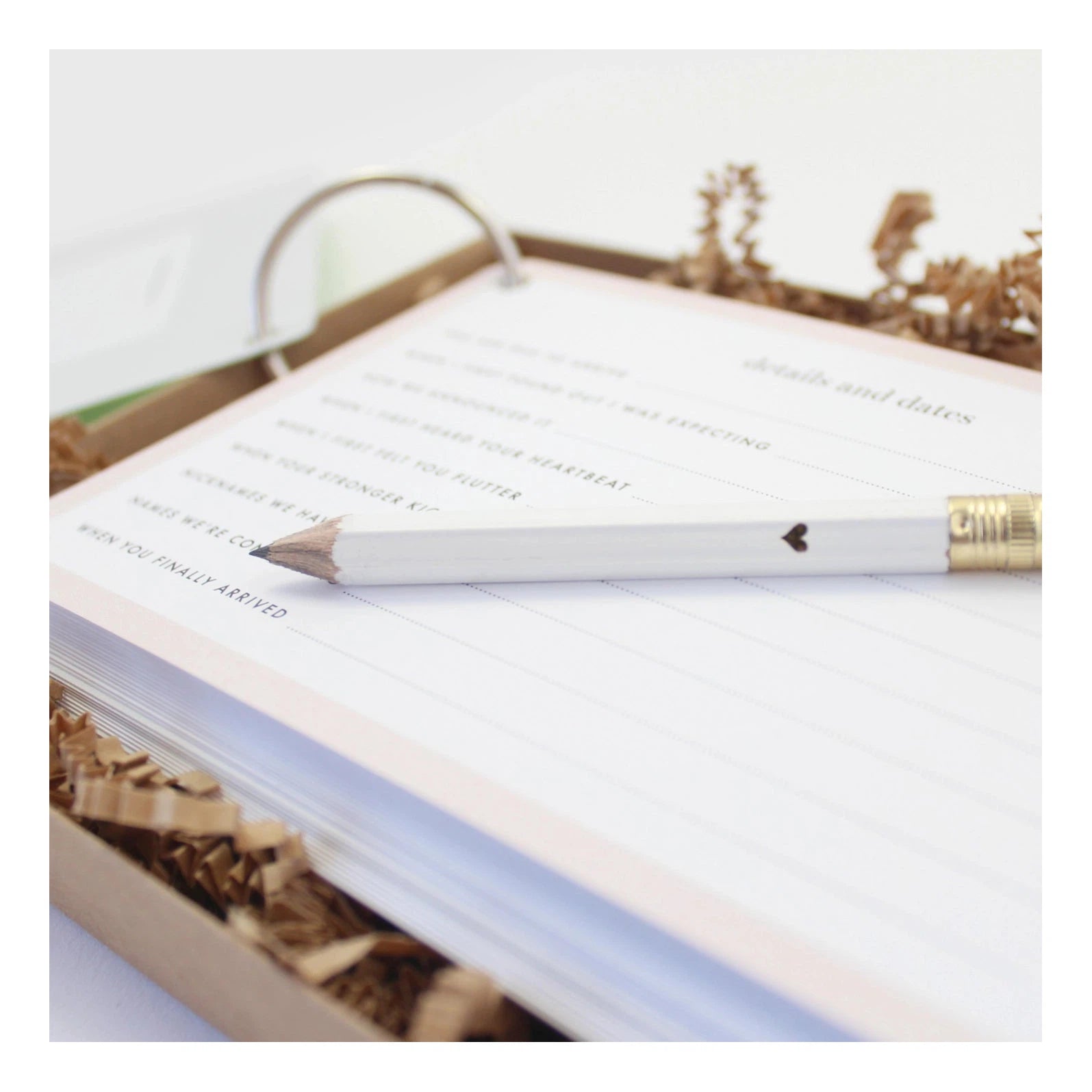 The Baby Bump Journal