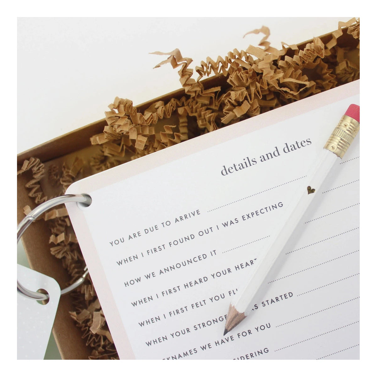 The Baby Bump Journal