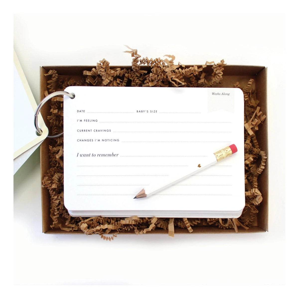 The Baby Bump Journal