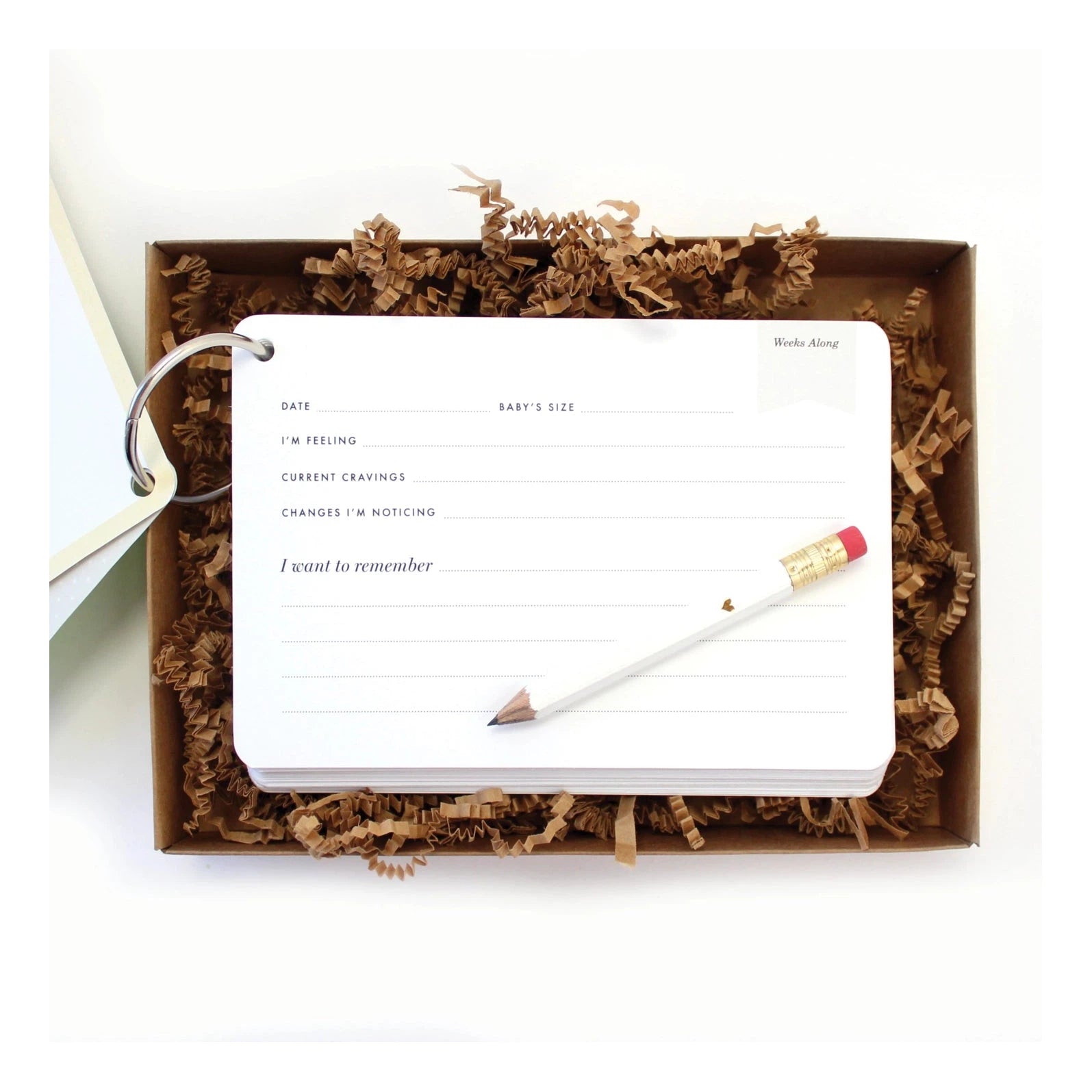 The Baby Bump Journal