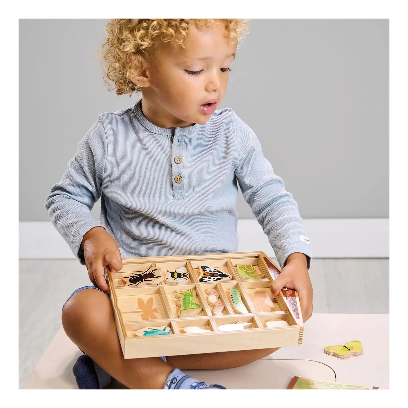 The Bug Hotel