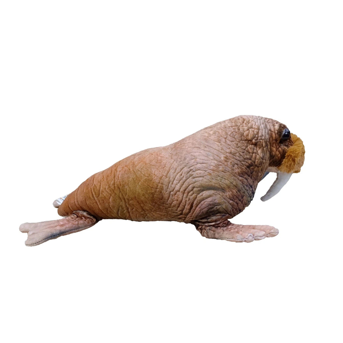 Walrus Plush