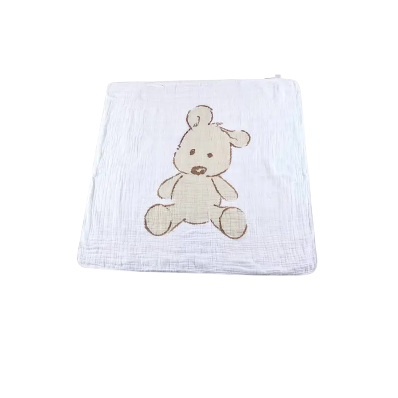 Teddy Bear + Plaid Blanket
