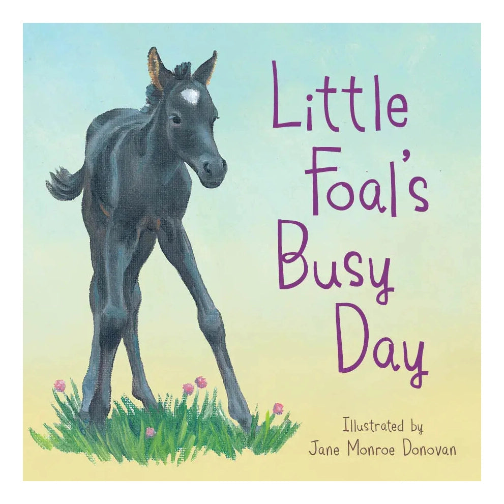 Little Foal’s Busy Day