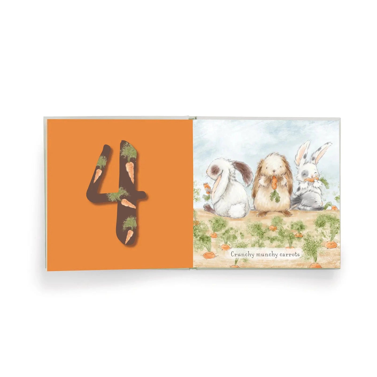 Hares Play-A Counting Board Book
