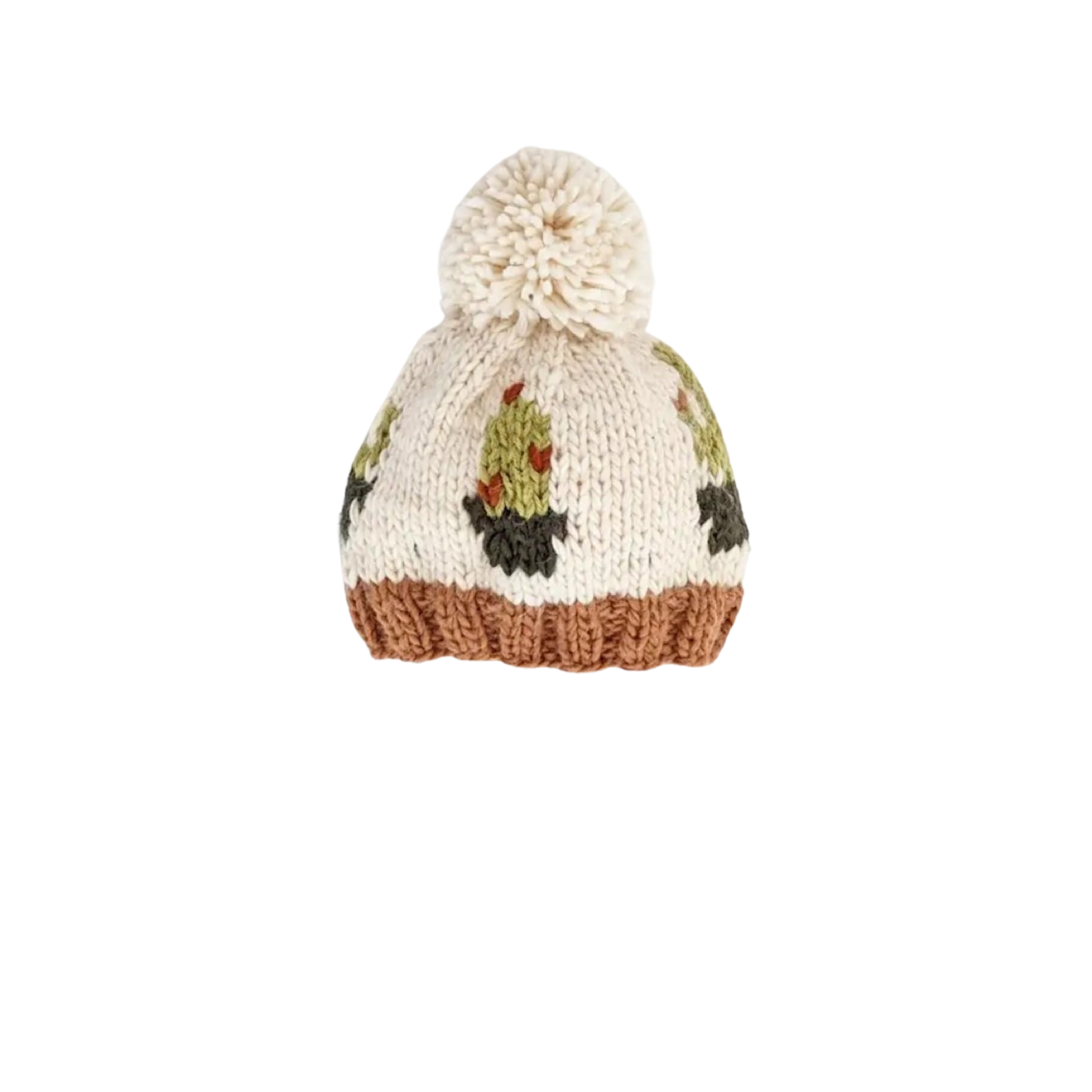 Cactus Knit Pom Beanie Hat