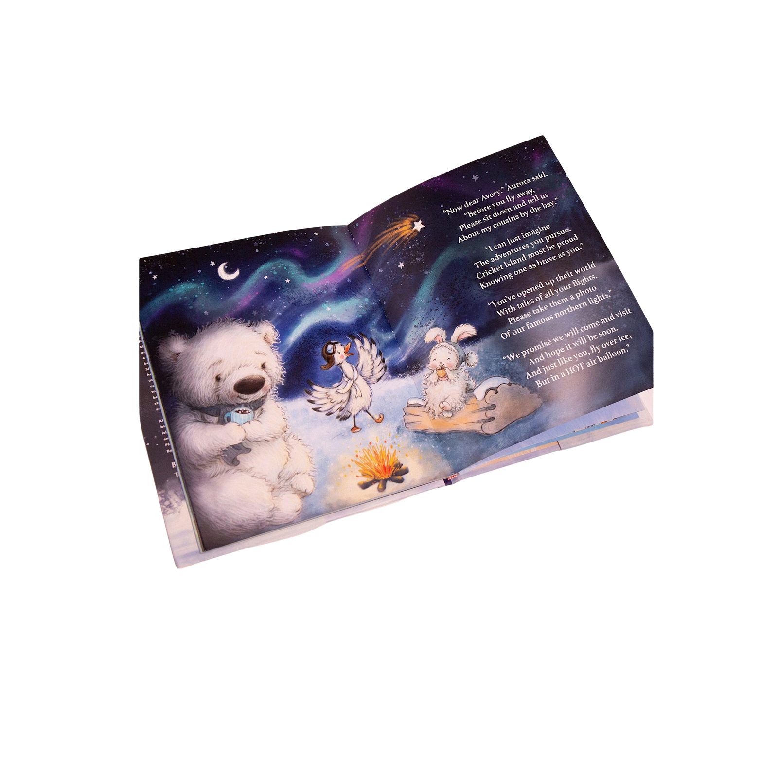 Avery Aviator Braves The Arctic Hardback Book