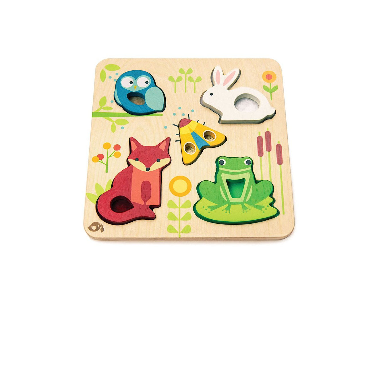 Touchy Feely Animal Puzzle - Tadpoles and Tiddlers