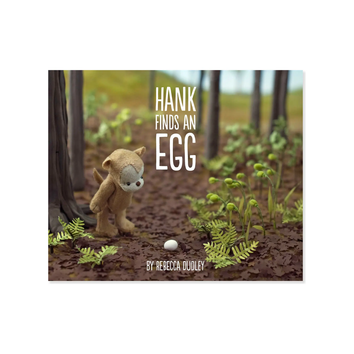 Hank Finds An Egg Hardcover Book