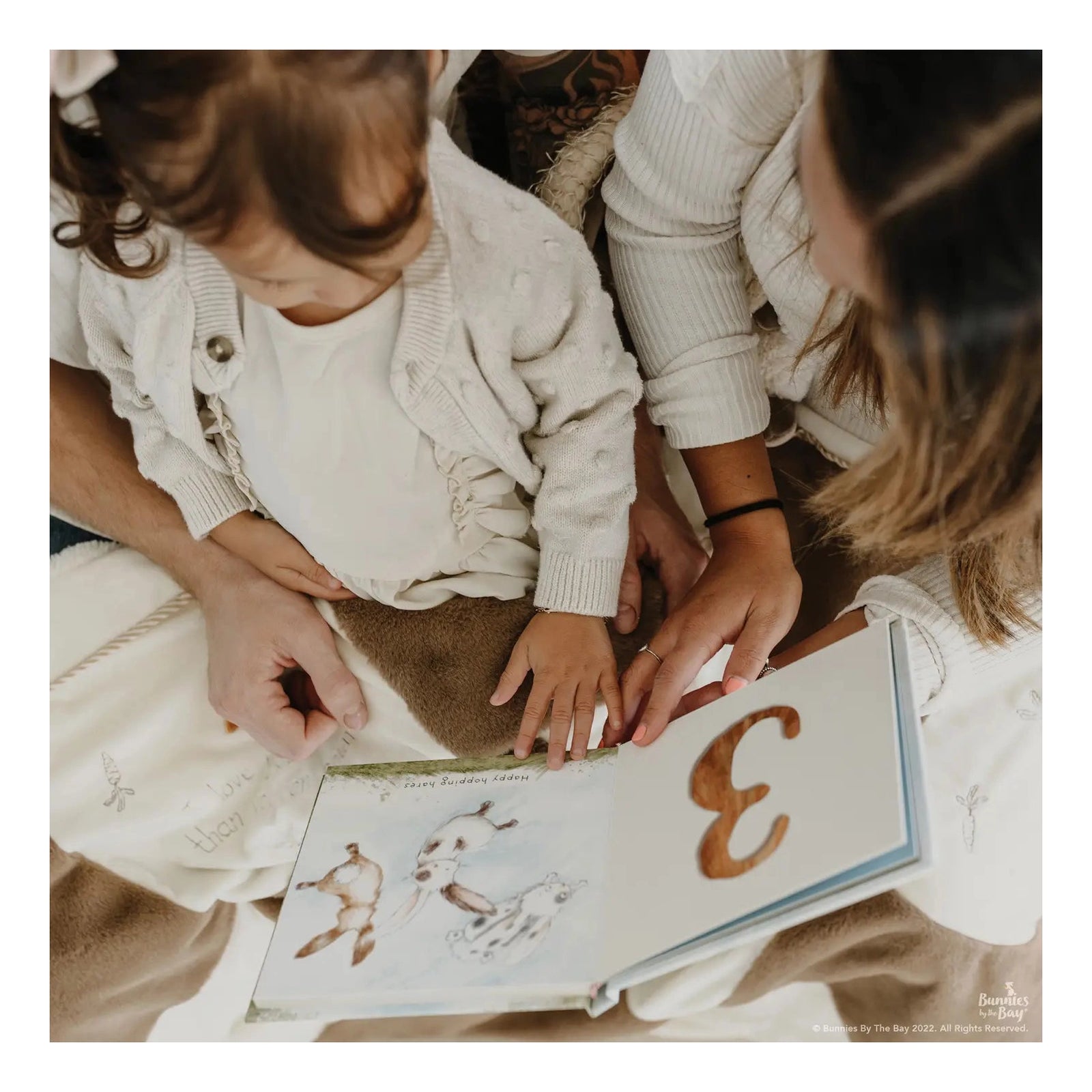 Hares Play-A Counting Board Book