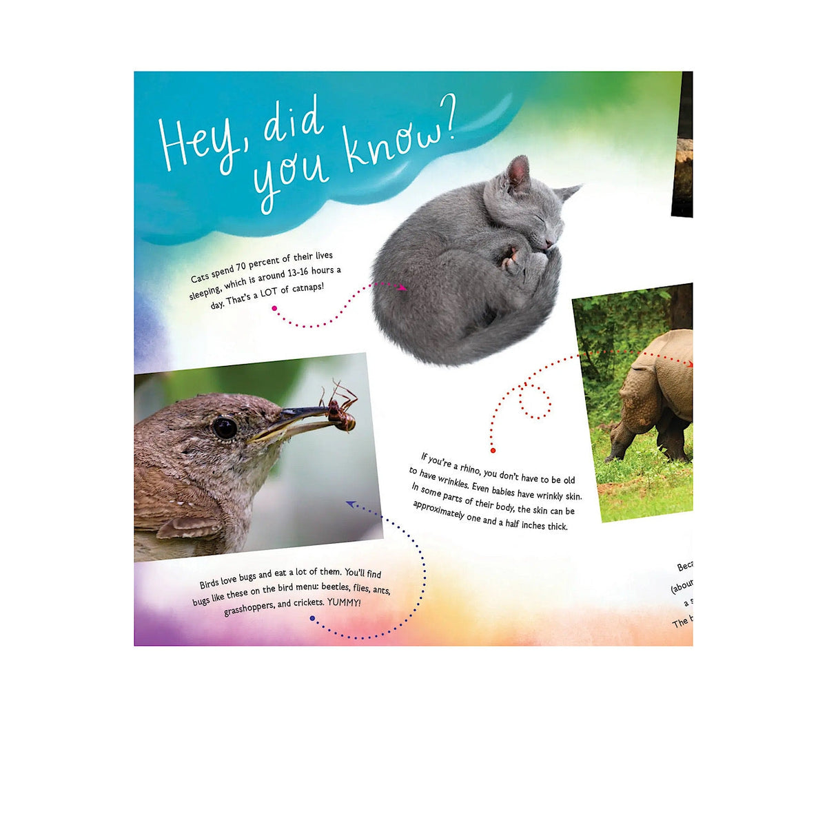 Hello Baby! I Am Your Mom