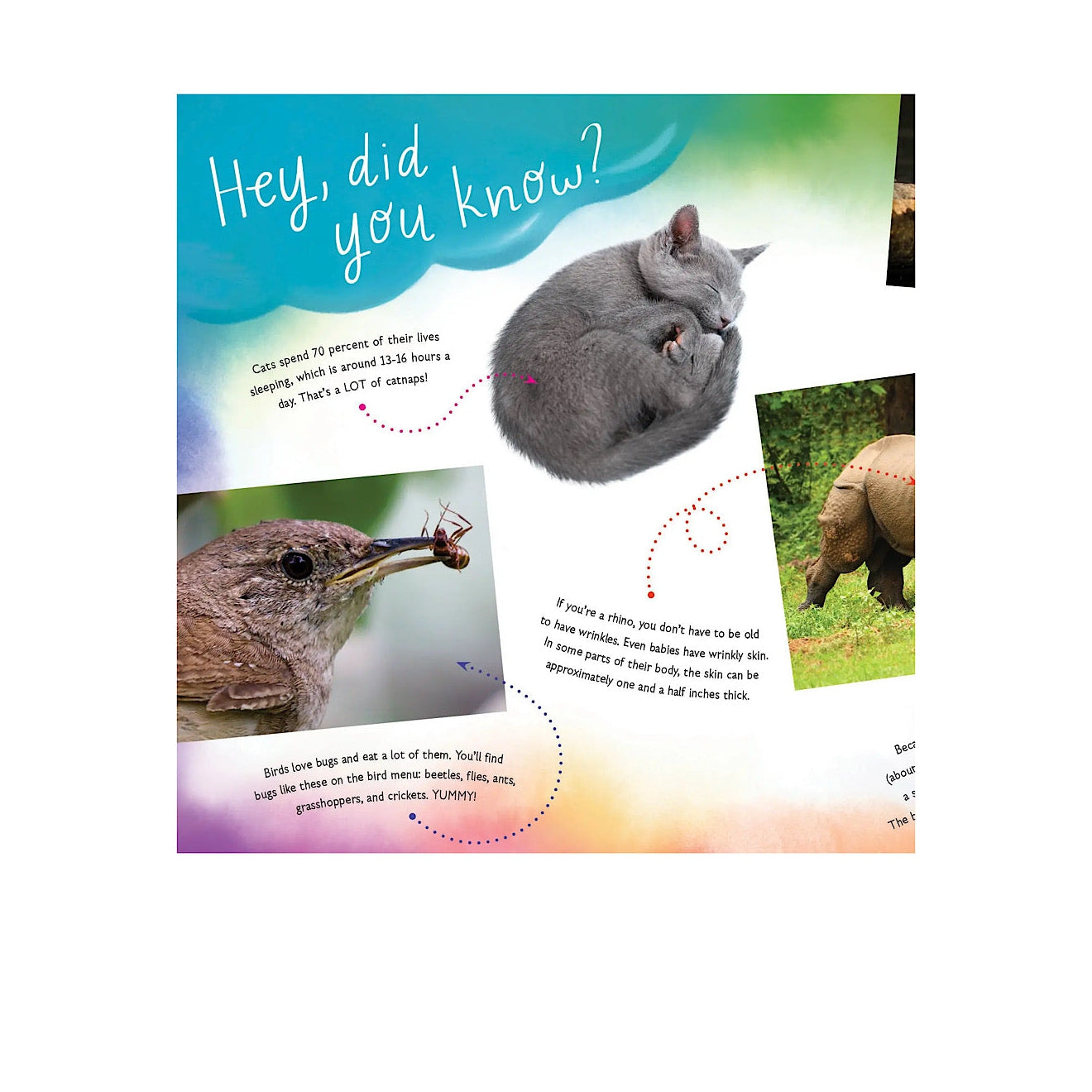 Hello Baby! I Am Your Mom