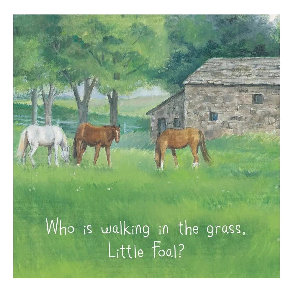 Little Foal’s Busy Day