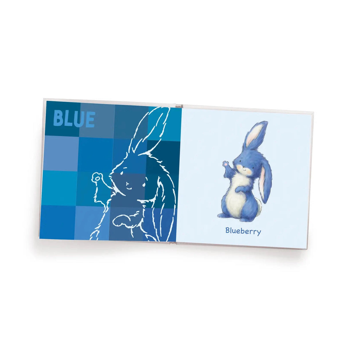 My Book Of Colors Board Book