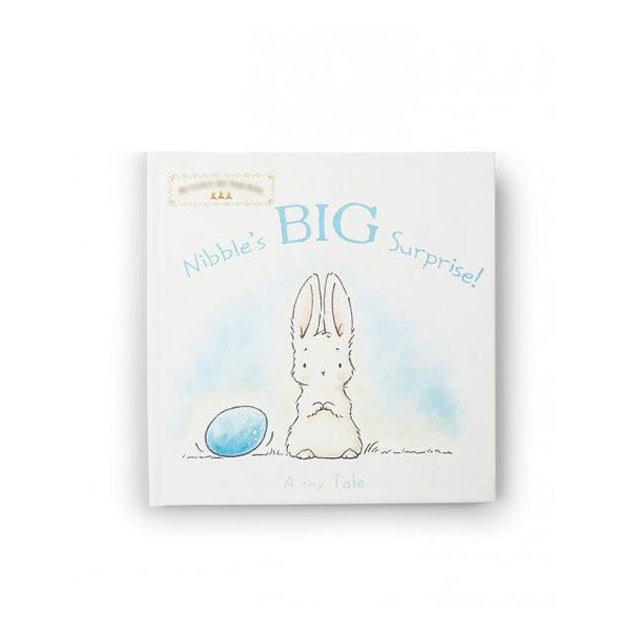 Bunnies by the Bay Nibble&#39;s Big Surprise Bunny Book Story Baby Toddler Child Tadpoles &amp; Tiddlers Akron Cleveland Bath Ohio