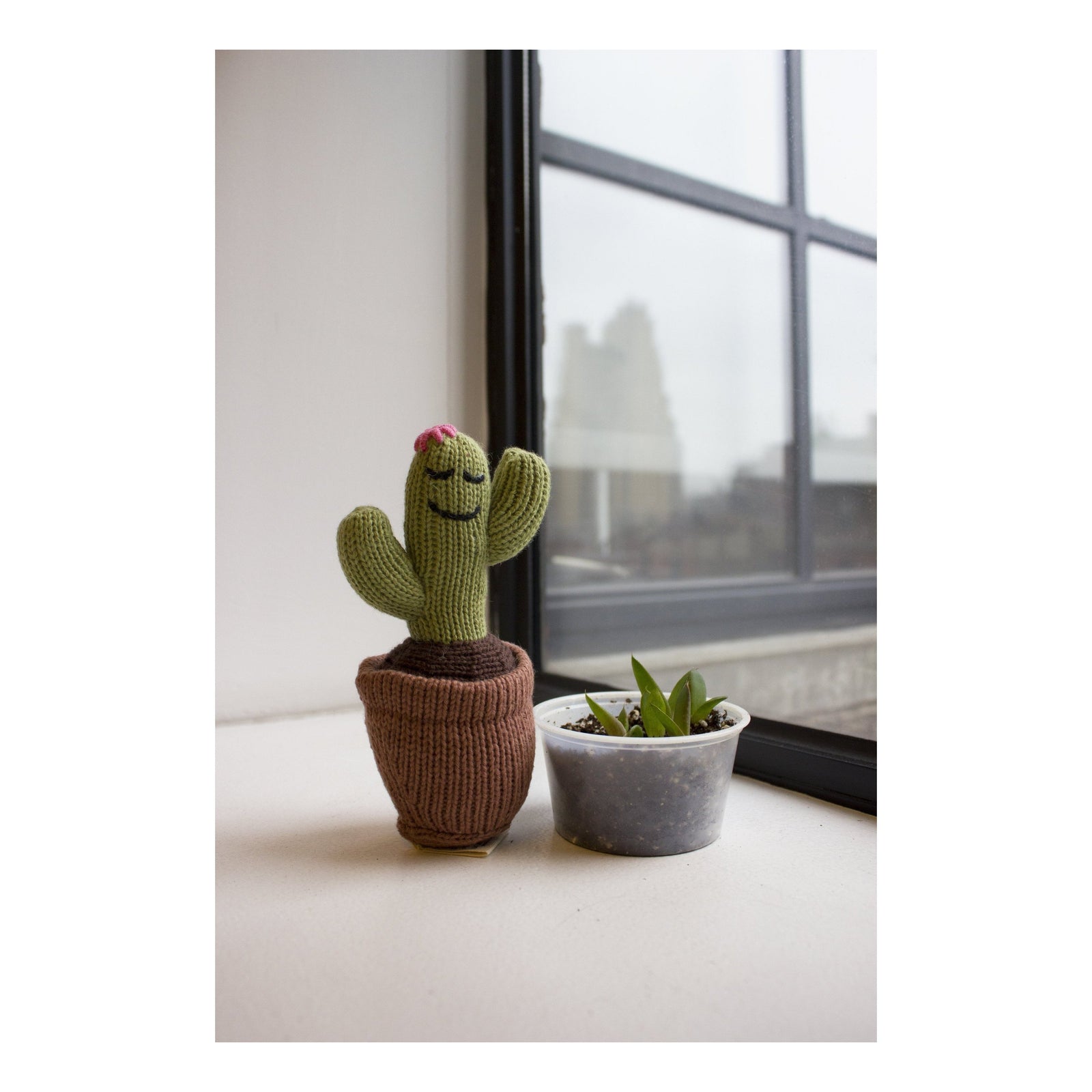 Organic Sleeping Cactus Knit Rattle