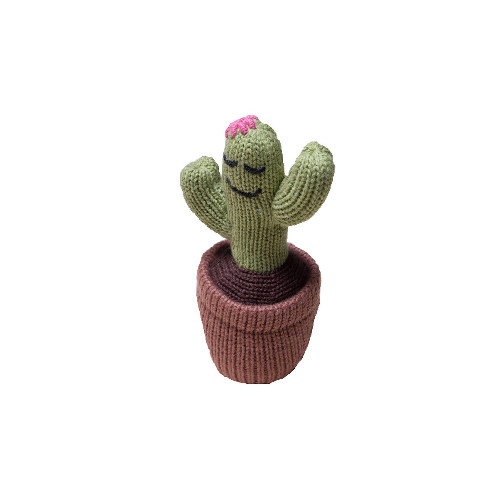 Organic Sleeping Cactus Knit Rattle